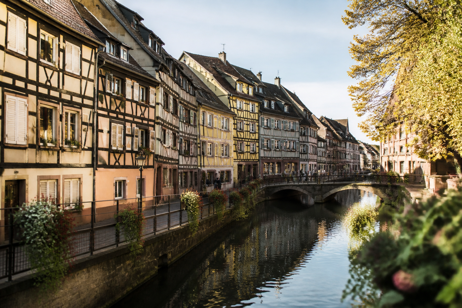 Les 14 meilleures sorties à faire à Colmar