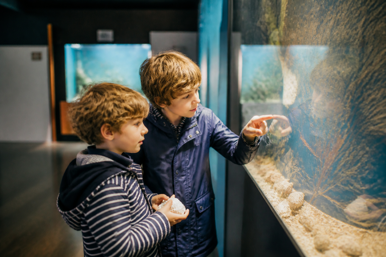 Que faire à Noirmoutier-en-l’Île quand il pleut ? 6 activités en intérieur