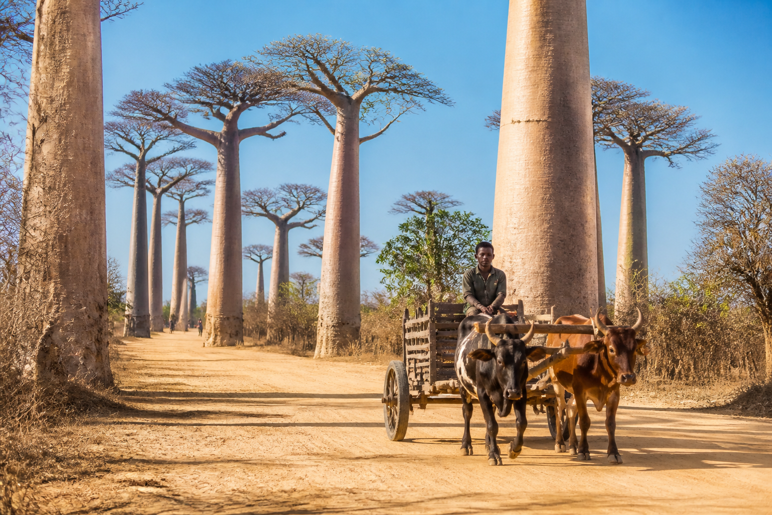 Réservations obligatoires à Madagascar : sites touristiques, quotas, délais